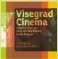 Detail knihyVisegrad Cinema. Point of Contact from the New Waves to the Present