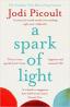Detail knihyA Spark of Light : from the author everyone should be reading